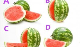 体育圈的瓜是什么意思 51今日吃瓜大瓜fun,51今日吃瓜大瓜fun，独家爆料来袭！